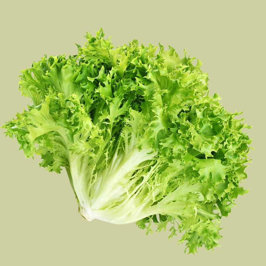 Lechuga Escarola (Und)