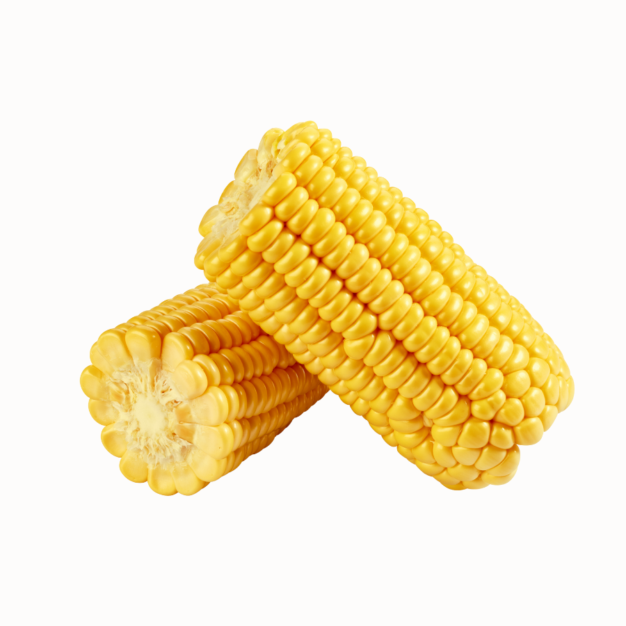 Elote dulce (bandeja)