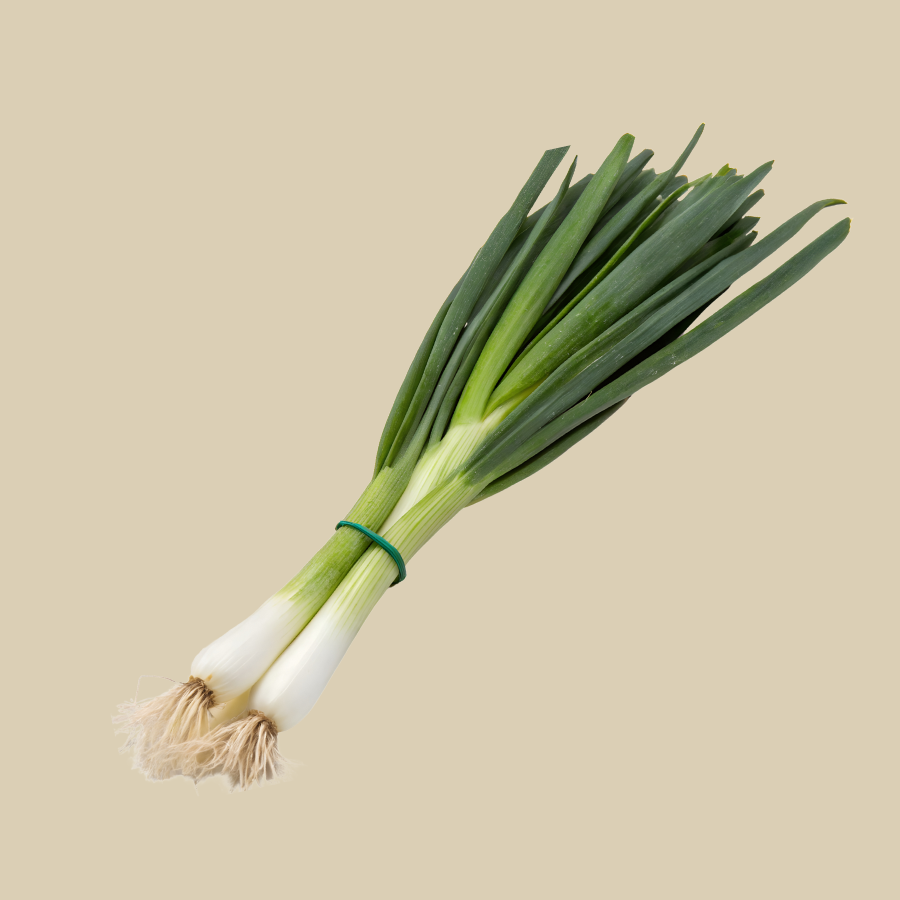 Cebollina Mazo