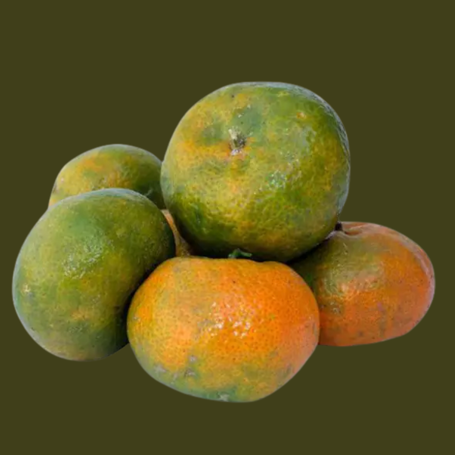 Mandarina criolla (lb)