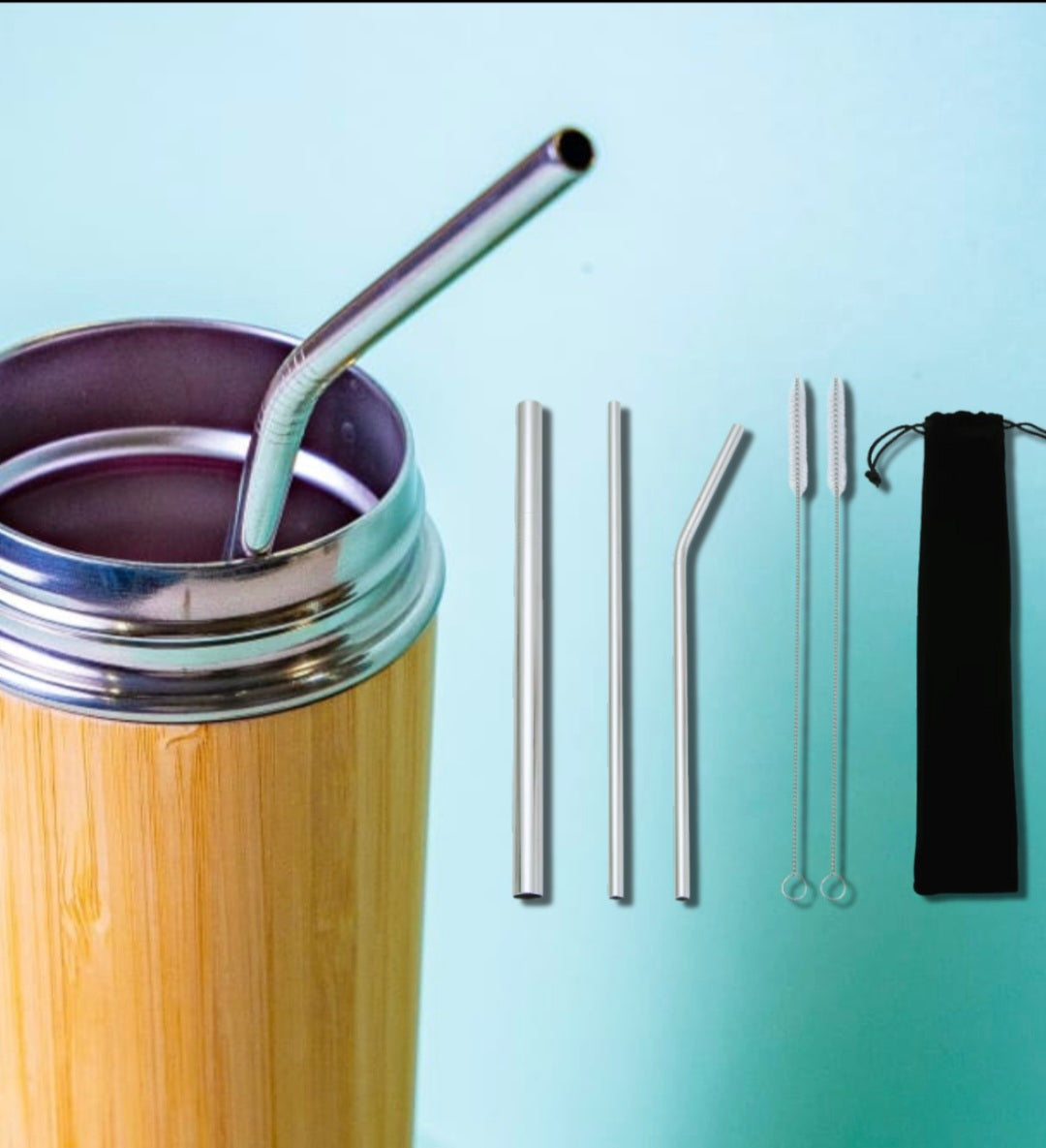 Pajillas Metalicas Reutilizables