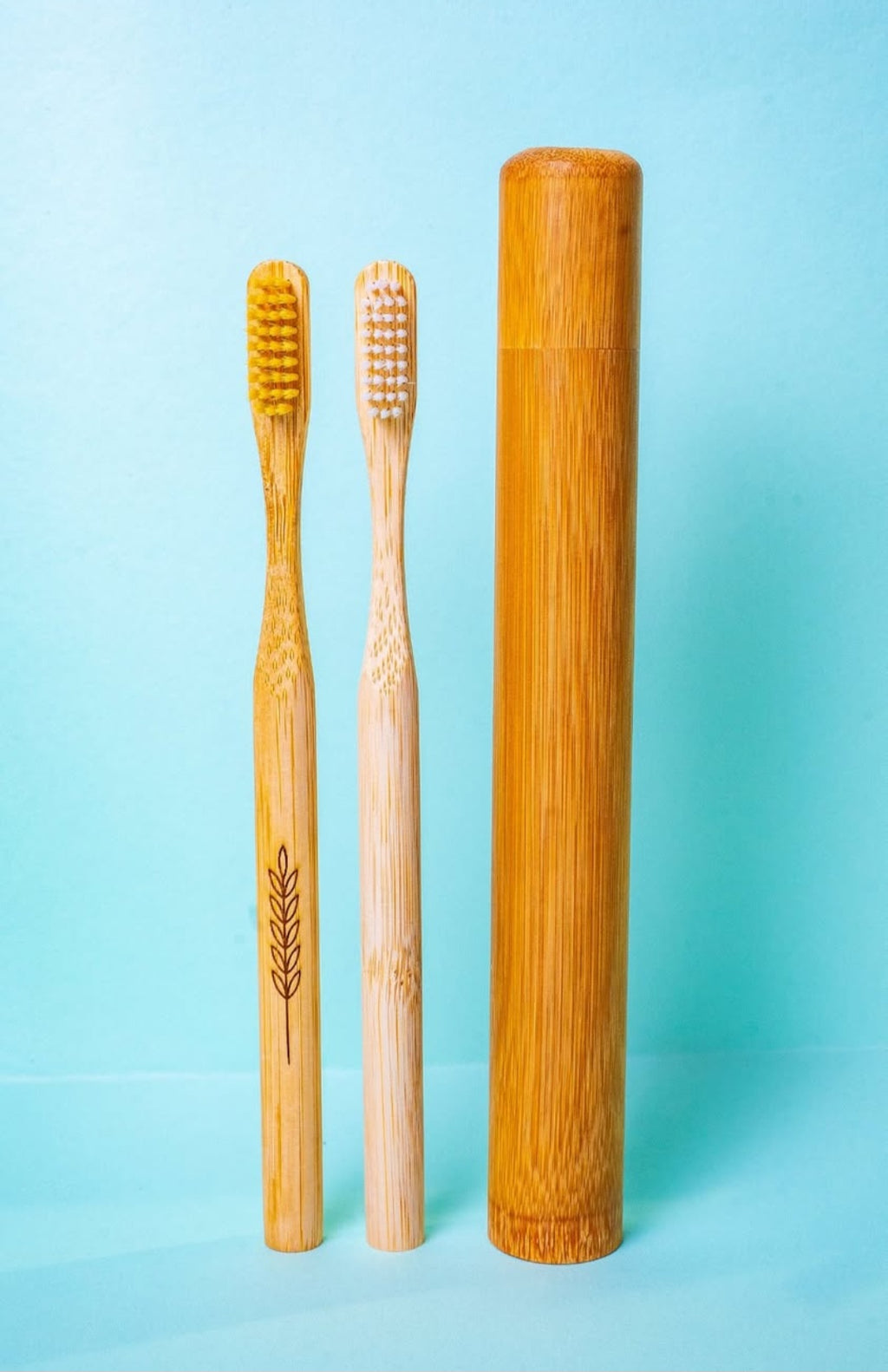 Kit de Cepillos de Bambú y Case de Bambú