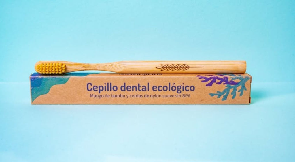 Kit de Cepillos de Bambú y Case de Bambú