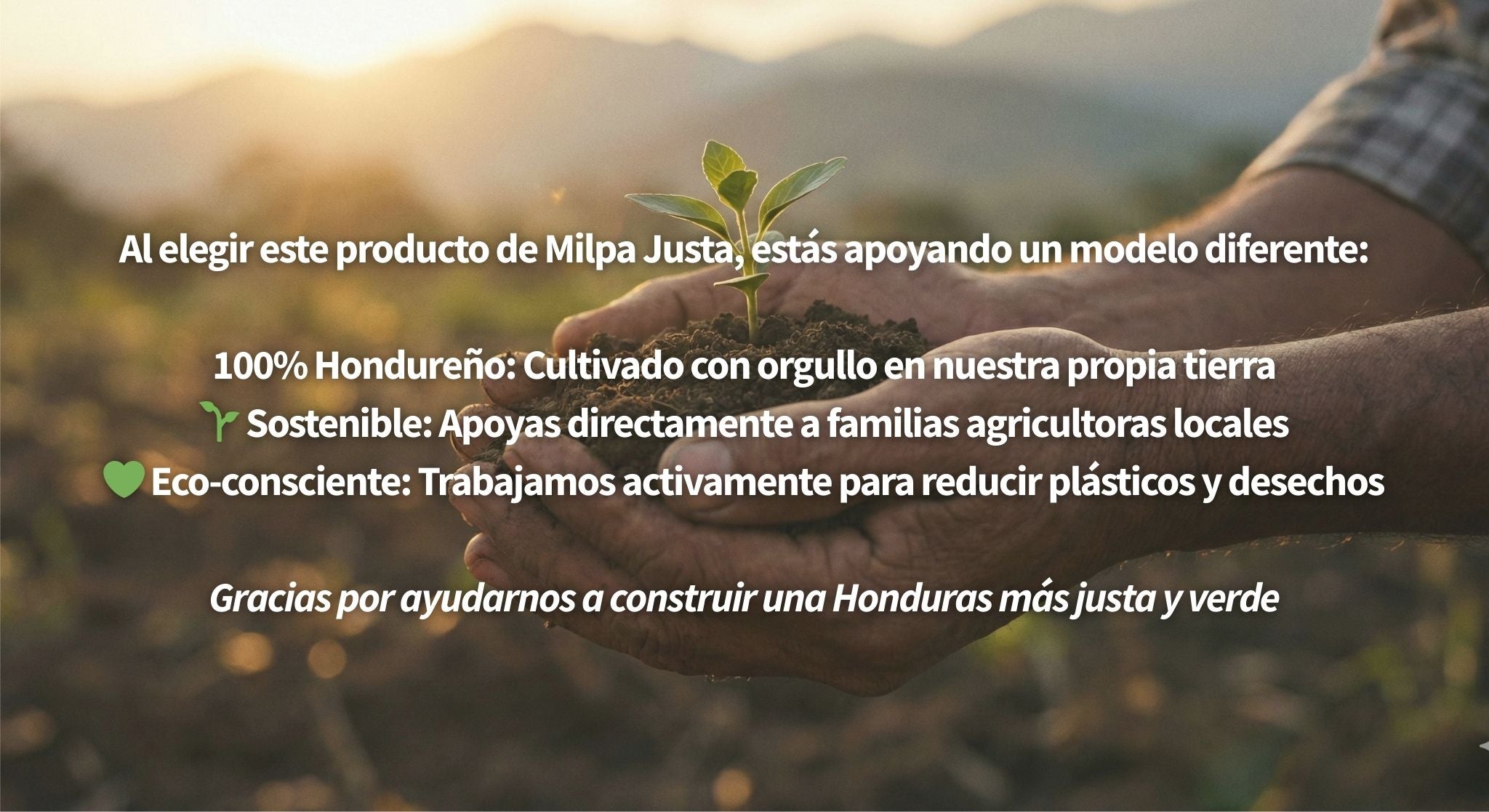 Ajo Pelado (Bandeja)